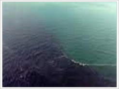 Oil Spill Dispersant (Water Base)